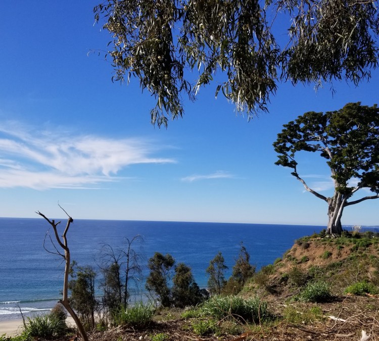 George Wolfberg Park at Potrero Canyon (Pacific&nbspPalisades,&nbspCA)